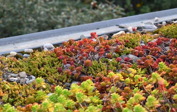 the cost of Great Livermere green roof installation