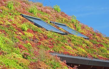 Great Livermere living roof systems